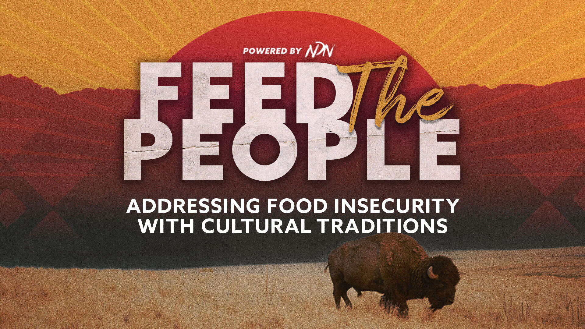 Feed The People, addressing Food insecurity with cultural traditions banner